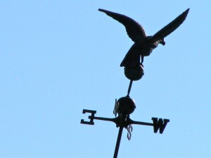 Weather vane