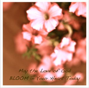 Love Bloom in Heart