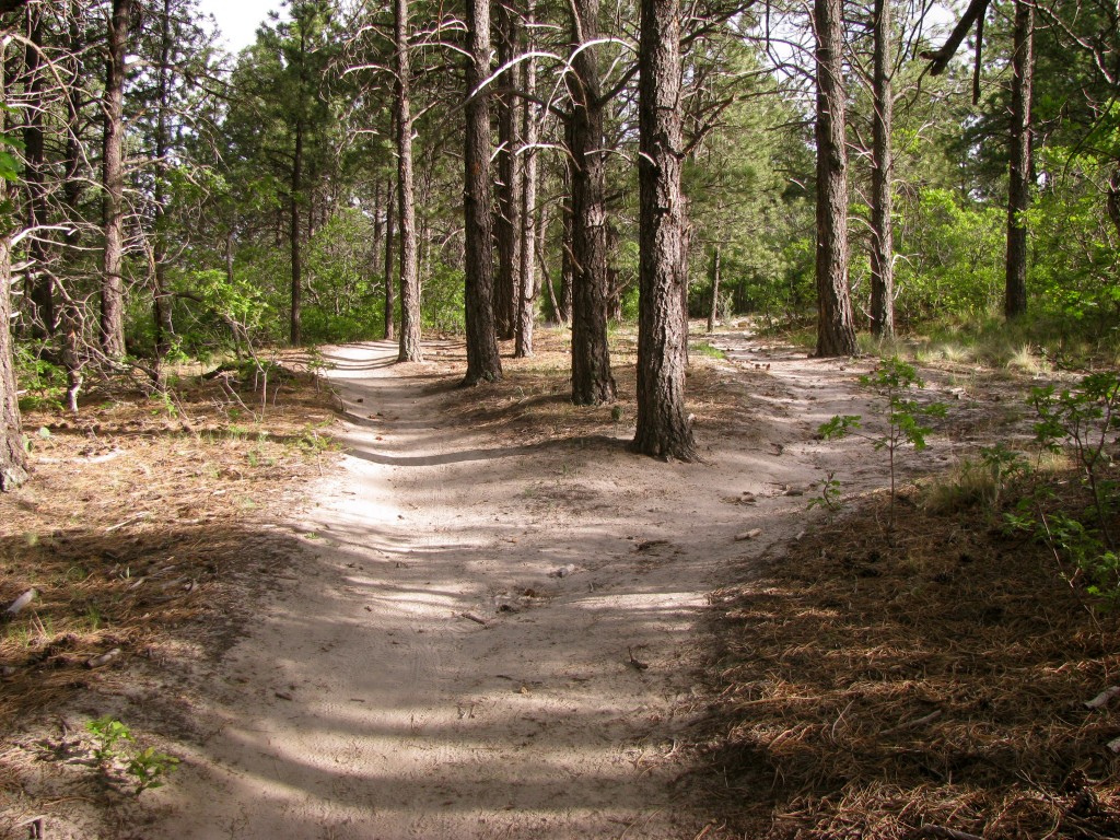 Hiking Trail