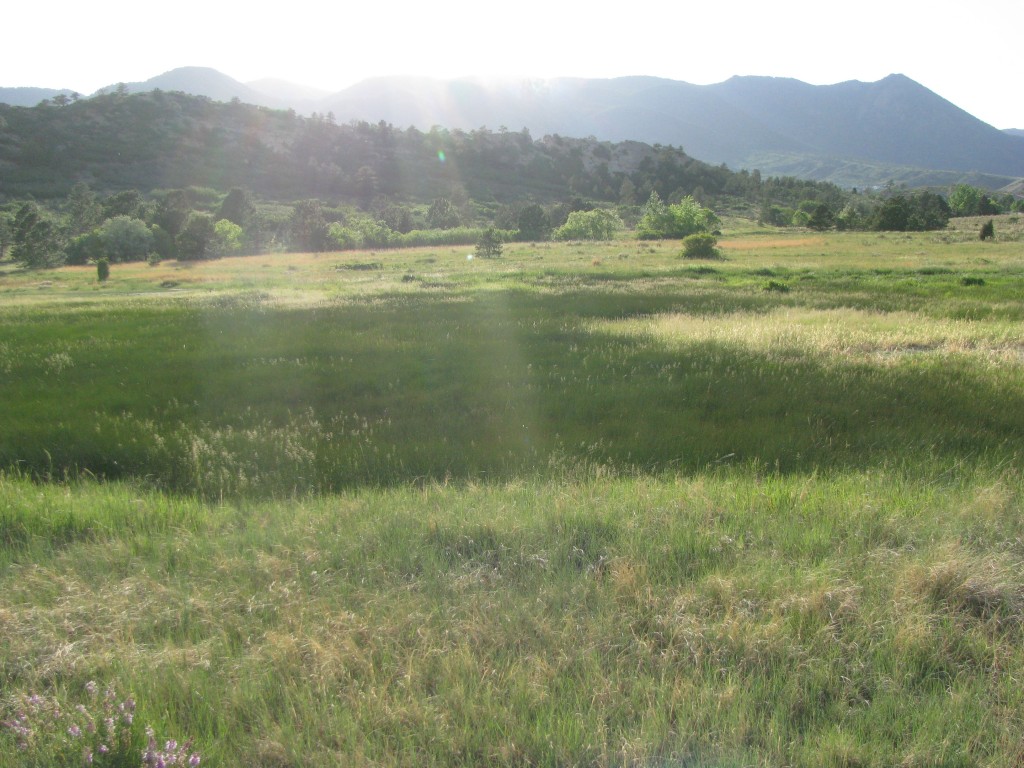 Hiking in Colorado